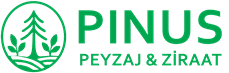 cropped-logo229_79.png